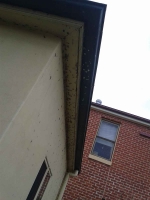 fixing and installing back the out of place gutter