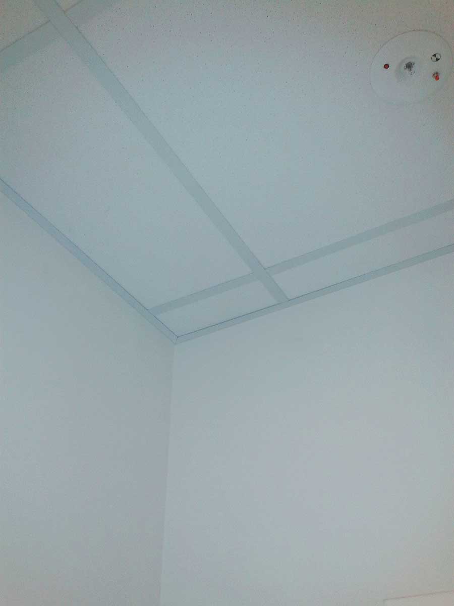 Replace-ceiling-tiles2.jpg